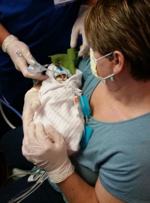 57251139af3d796568a1751f